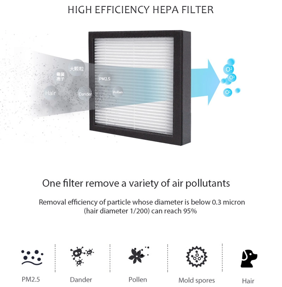 Invitop 220V Electric Fresh Air Dryer Mini Home Peltier HEPA Filter Air Purifier Dehumidifier
