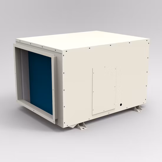 240L/Day Big Compact Industrial Ceiling Mounted Dehumidifier