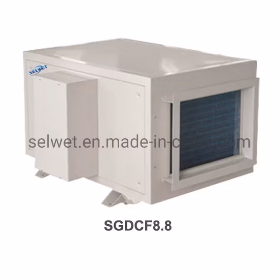 High Efficiency Customized 25L/D Ceiling Dehumidifier Industrial Capacity with CE Certificate