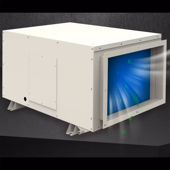 Hot Sale 52 Pint/ Day Integral 26L Ceiling Mounted Air Dehumidifier Industrial Dehumidifier